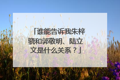 谁能告诉我朱梓骁和郭敬明、陆立文是什么关系？