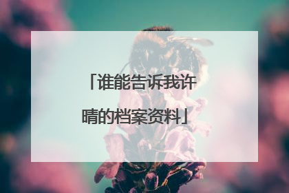 谁能告诉我许晴的档案资料