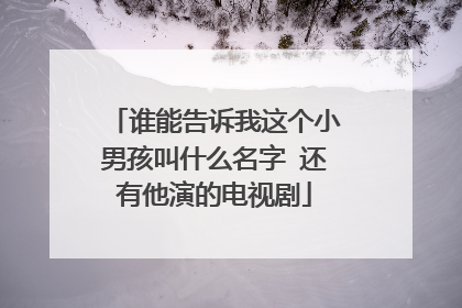 谁能告诉我这个小男孩叫什么名字 还有他演的电视剧