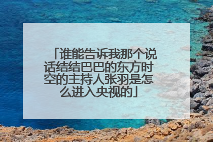 谁能告诉我那个说话结结巴巴的东方时空的主持人张羽是怎么进入央视的