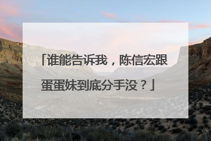 谁能告诉我,陈信宏跟蛋蛋妹到底分手没?