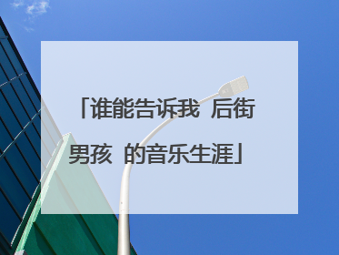谁能告诉我 后街男孩 的音乐生涯