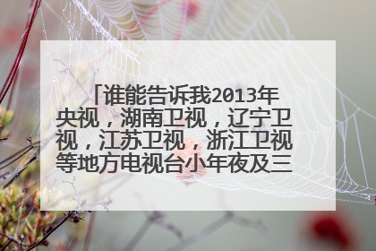 谁能告诉我2013年央视,湖南卫视,辽宁卫视,江苏卫视,浙江卫视等地方电视台小年夜及三十晚上的节目表
