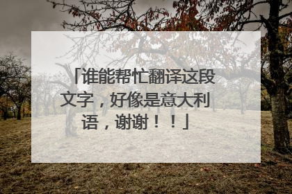 谁能帮忙翻译这段文字，好像是意大利语，谢谢！！