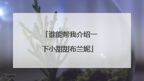 谁能帮我介绍一下小甜甜布兰妮