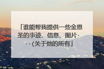 谁能帮我提供一些金恩圣的事迹、信息、图片···(关于他的所有