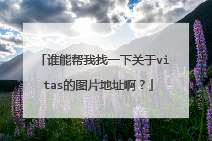 谁能帮我找一下关于vitas的图片地址啊？