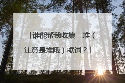 谁能帮我收集一堆（注意是堆哦）歌词？
