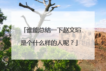 谁能总结一下赵文瑄是个什么样的人呢?