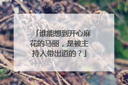 谁能想到开心麻花的马丽，是被主持人带出道的？