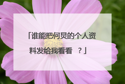 谁能把何炅的个人资料发给我看看 ？