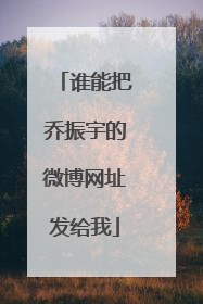 谁能把乔振宇的微博网址发给我