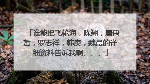 谁能把飞轮海，陈翔，唐禹哲，罗志祥，韩庚，魏晨的详细资料告诉我啊、、、
