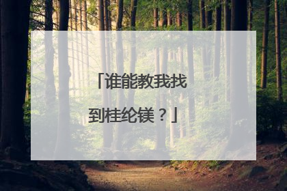 谁能教我找到桂纶镁?