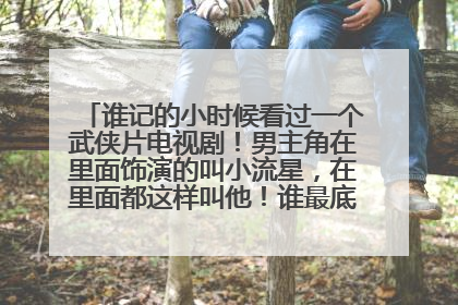 谁记的小时候看过一个武侠片电视剧!男主角在里面饰演的叫小流星,在里面都这样叫他!谁最底叫什么片名吗