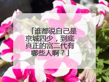 谁都说自己是京城四少，到底真正的富二代有哪些人啊？