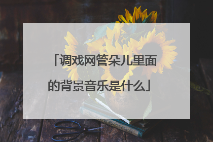 调戏网管朵儿里面的背景音乐是什么