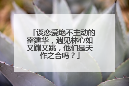 谈恋爱绝不主动的霍建华，遇见林心如又蹦又跳，他们是天作之合吗？