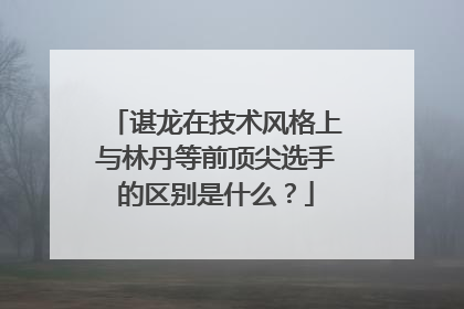 谌龙在技术风格上与林丹等前顶尖选手的区别是什么?