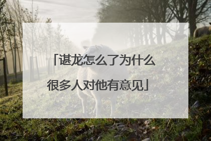 谌龙怎么了为什么很多人对他有意见