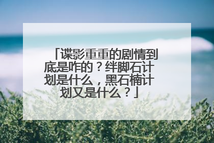 谍影重重的剧情到底是咋的？绊脚石计划是什么，黑石楠计划又是什么？