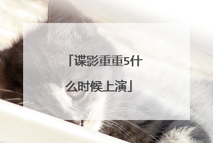 谍影重重5什么时候上演