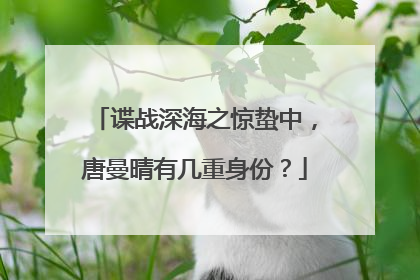 谍战深海之惊蛰中，唐曼晴有几重身份？
