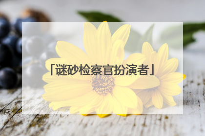 谜砂检察官扮演者