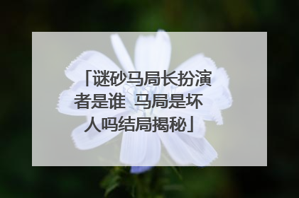 谜砂马局长扮演者是谁 马局是坏人吗结局揭秘