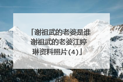 谢祖武的老婆是谁 谢祖武的老婆江婷琳资料照片(4)