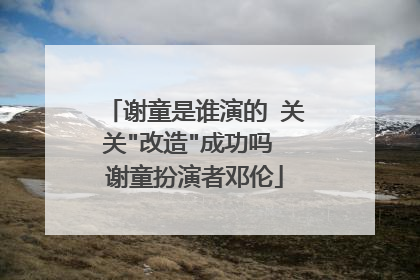 谢童是谁演的 关关