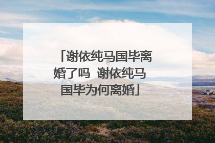 谢依纯马国毕离婚了吗 谢依纯马国毕为何离婚