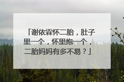 谢依霖怀二胎，肚子里一个，怀里抱一个，二胎妈妈有多不易？