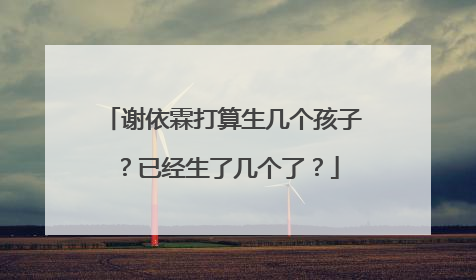 谢依霖打算生几个孩子？已经生了几个了？