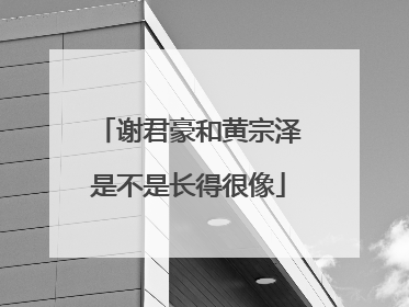 谢君豪和黄宗泽是不是长得很像