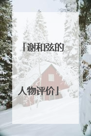 谢和弦的人物评价