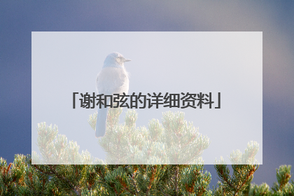 谢和弦的详细资料