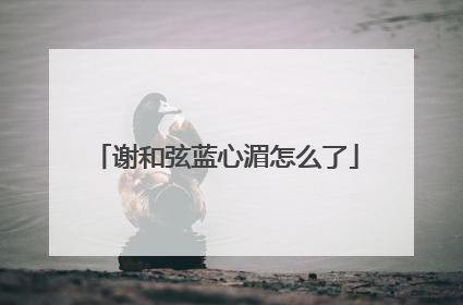 谢和弦蓝心湄怎么了