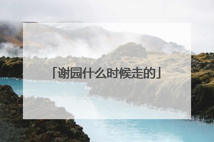 谢园什么时候走的