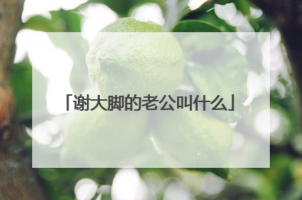 谢大脚的老公叫什么