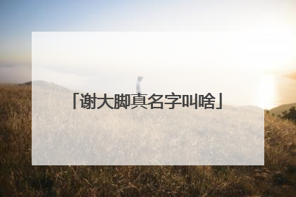 谢大脚真名字叫啥