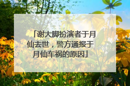 谢大脚扮演者于月仙去世,警方通报于月仙车祸的原因