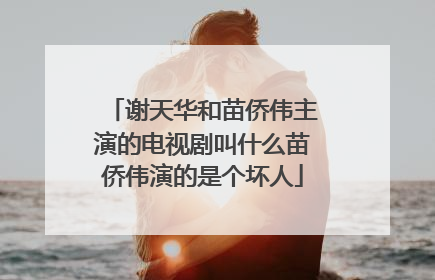 谢天华和苗侨伟主演的电视剧叫什么苗侨伟演的是个坏人