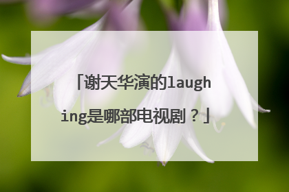 谢天华演的laughing是哪部电视剧？