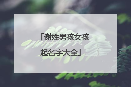 谢姓男孩女孩起名字大全