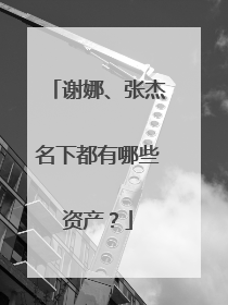 谢娜、张杰名下都有哪些资产？