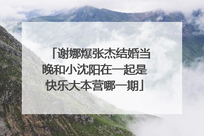 谢娜爆张杰结婚当晚和小沈阳在一起是快乐大本营哪一期