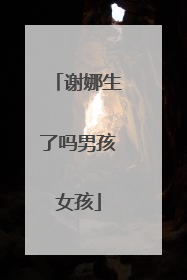 谢娜生了吗男孩女孩