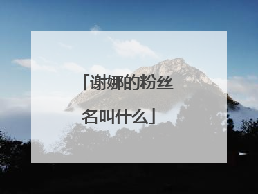 谢娜的粉丝名叫什么