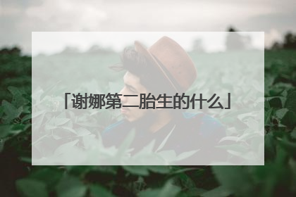 谢娜第二胎生的什么